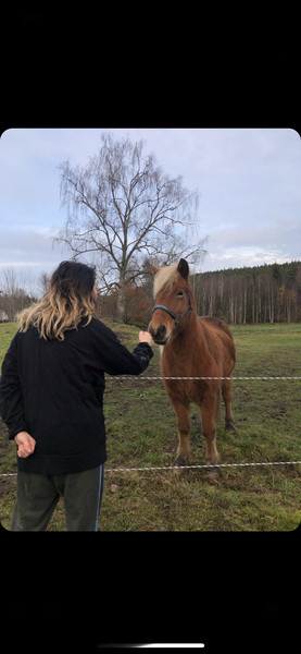 Klicka för att se förhandsgranska